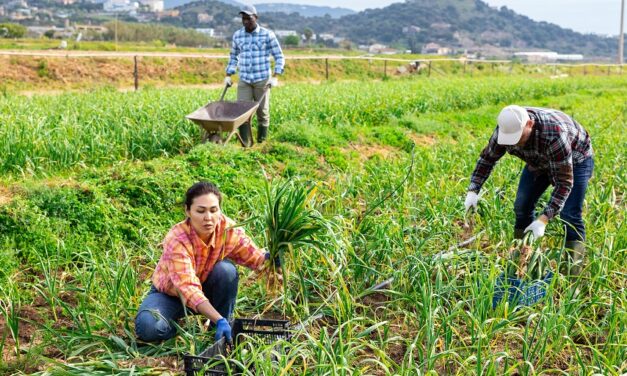 From Farm to Your Thanksgiving Table: America’s Food Supply Relies on Immigrant Crop Workers